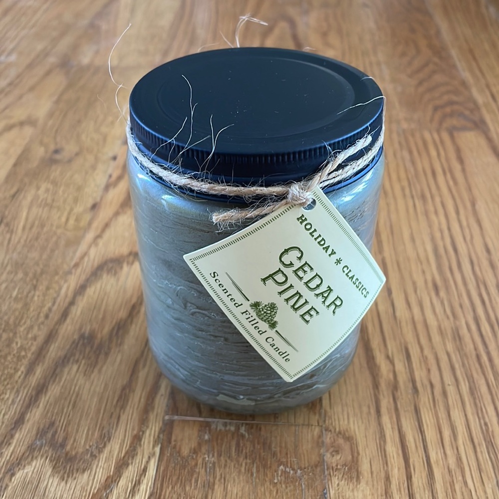 NWT World Market Holiday Classics Cedar Pine Candle